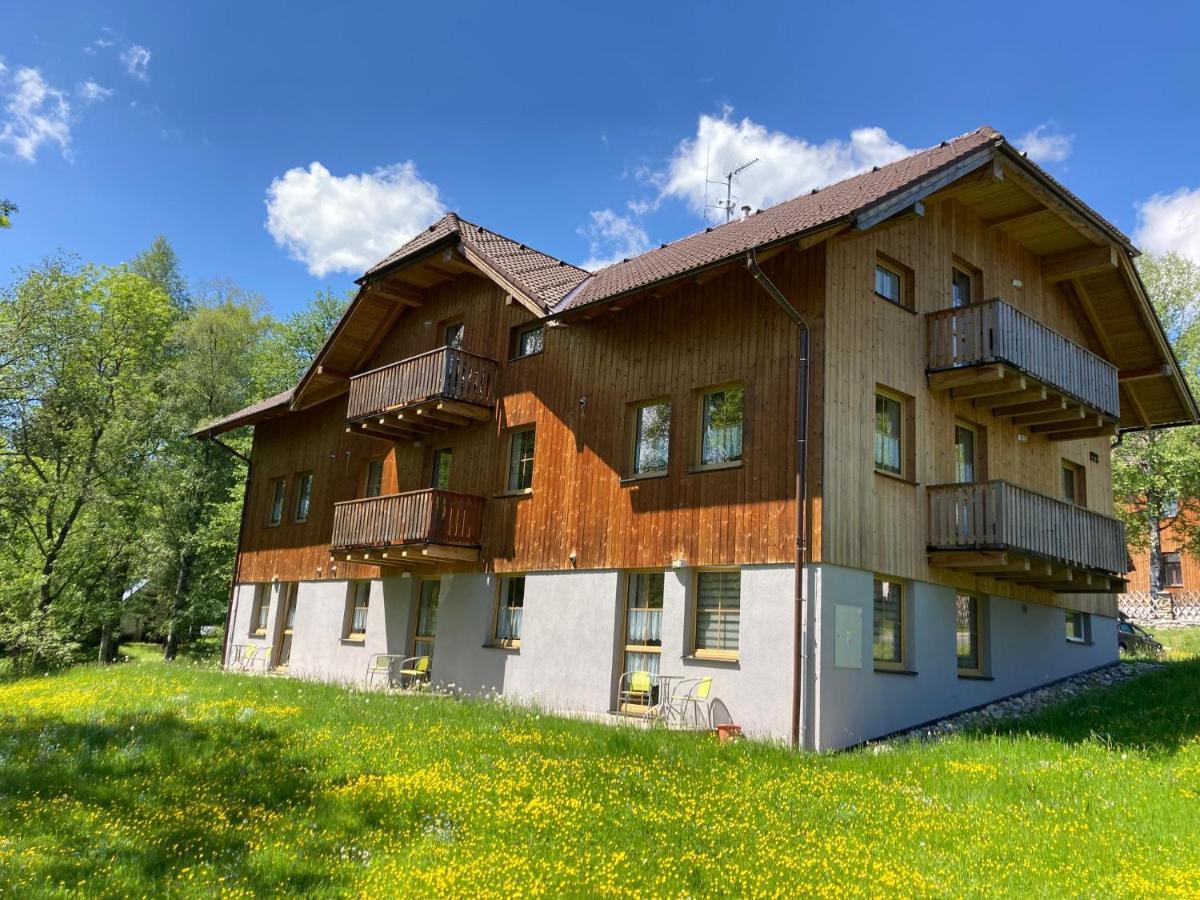 Apartment Horsky Prasily